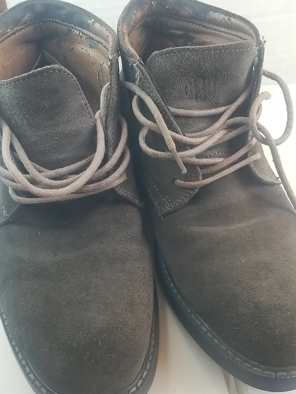 G.H. Bass & Co. Men's Dark Brown Suede Chukka Boots